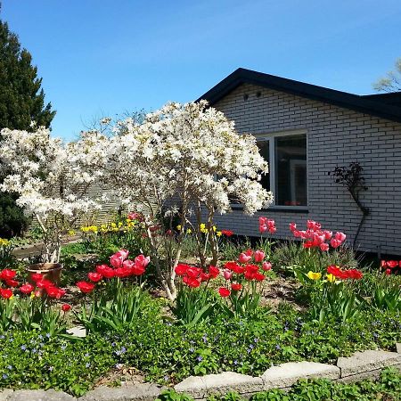 Mini-Apartment In The Flowerbed Søborg المظهر الخارجي الصورة
